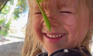 Girl Makes Friends With Praying Mantis
