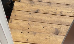 I'm the Squirrel Lunch Lady