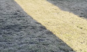 Spontaneous Demolition Derby