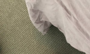 Tiny Kitten Climbs the Bed