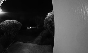 Delivery Guy Joins the Party