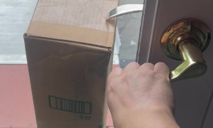 When You Get a Package but They Lock You in Your Own House