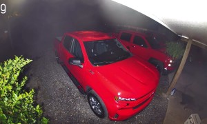 Catculations Gone Wrong