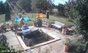 Boy Drives Toy Car Into Backyard Pond