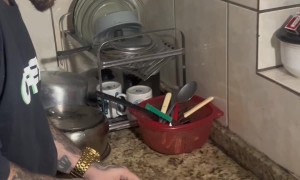 Bird Flies Out of Pot