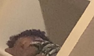 Toddlers Can Sleep Anywhere