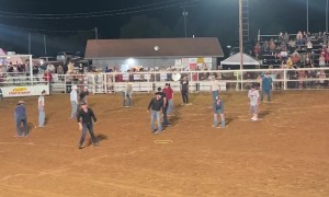 Stay in the Ring, Win $100