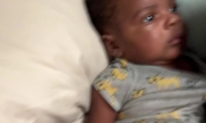 Growling Dad Confuses Crying Infant