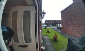 Mom Faceplants While Carrying Car Seat