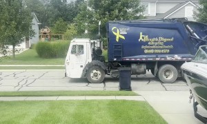 Electric Love Between Garbage Man And Dog