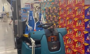 Brian's Been Worked to the Bone