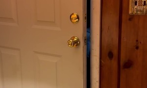 Mr. Doorman Does His Thing