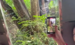 Dinosaur Theme Park Thrills Guests