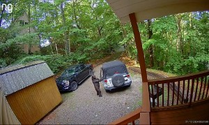Black Bear Tears Into Jeep