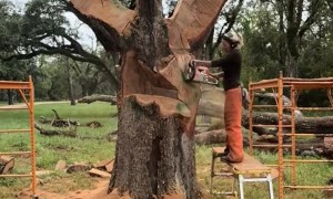Chainsaw Wood Sculpture of Columbaire Hand Throwing Pigeon