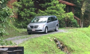Bear Open and Closes Van Door By Itself