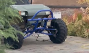 Owl Swoops at My Head