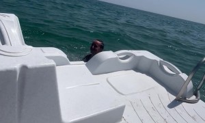 Woman Falls Off Pedal Boat