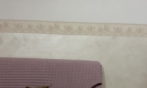 Dog Battles Ferocious Dinosaur