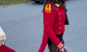 Adorable Circus Lion Halloween Costume