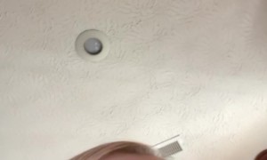 When the Toddler Hears It's Snack Time