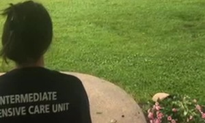 Corn Cob Toss Takes Out Flower Pot