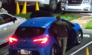 Gatlinburg Black Bear Attempts Rideshare