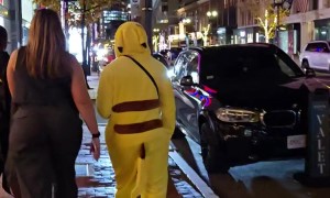 Master Trainer Catches Wild Pocket Monster