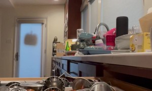 Chaos Ensues After Pants Pocket Catches on Kitchen Drawer
