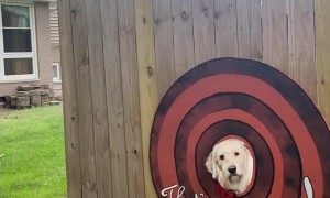 Dog Replicates Famous 'That's All, Folks'