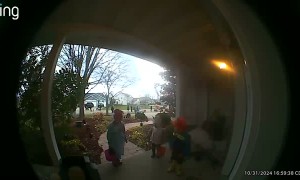 Startled Father Leaves Young Trick-or-Treaters Behind
