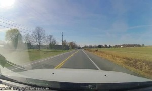 Husband Gets Distracted by Deer While Driving