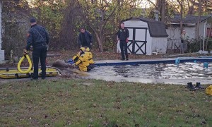 Fire Department Rescues Deer From Inground Pool