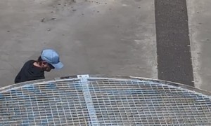 Greyhound Rides Electric Longboard