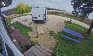 Delivery Driver Smashes And Kicks Package