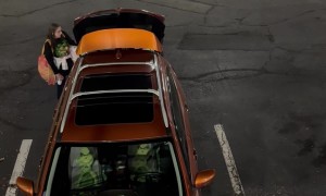 Black Bear Follows Woman in Hotel Parking Lot