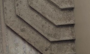 Dramatic Cat Vocalizes When Left Alone