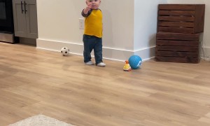 Toddler Pretends to Be Hurt So He Can Get Kisses From Dog