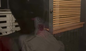 Black Bear Looking For Leftovers