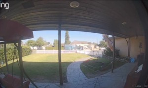 Amazon Driving Feeling Himself Today