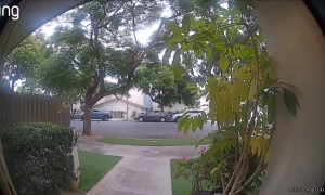 Ring Camera Captures Driveway Collision