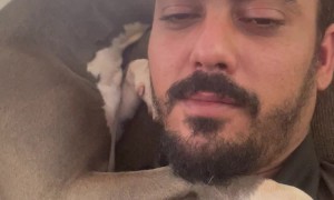 Affectionate Dog Cuddles Human Dad