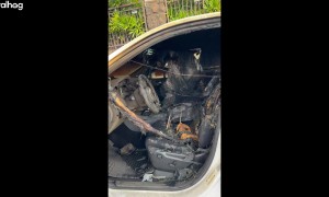 Suspects Set Fire To Family Truck