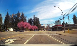 Red Light Runner Narrowly Avoids Motorbike Collision