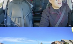 Chickens Cross The Road