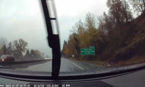 Huge Branch Crashes Onto Highway During Bomb Cyclone