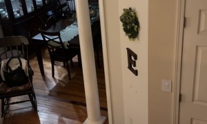 Someone Took The M From Home