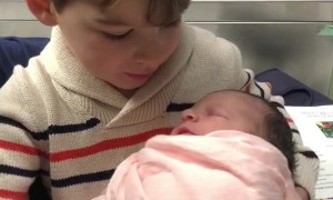 New Big Brother Has a Sudden Change of Heart