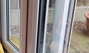 Cat Has Had Enough Of The Outdoors