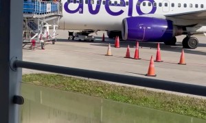 Grandkids Give Grandparents a Thanksgiving Surprise